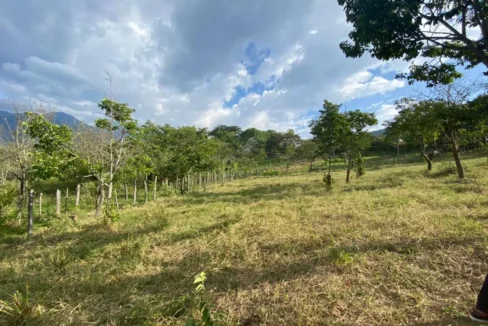 3002-GRUPO-CAOBA_3