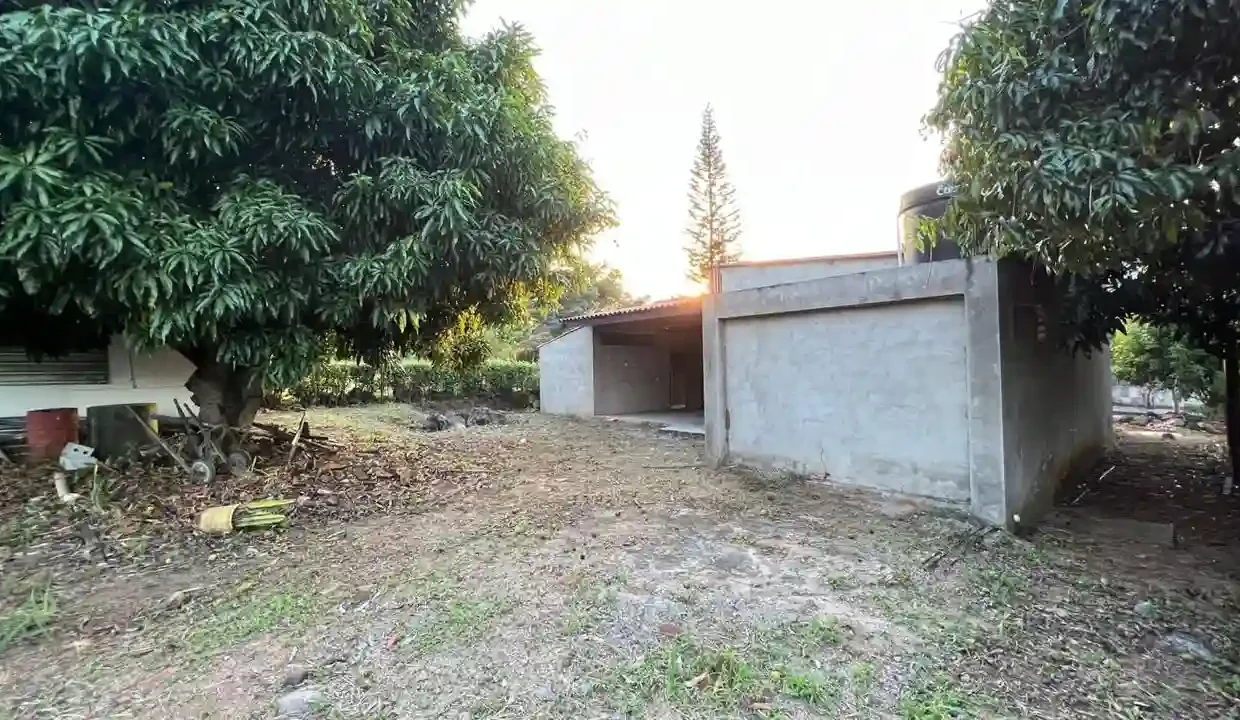 3011-GRUPO-CAOBA_3