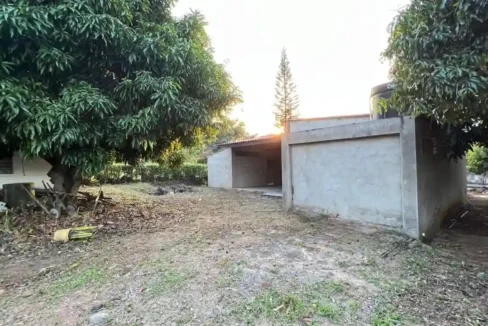 3011-GRUPO-CAOBA_3